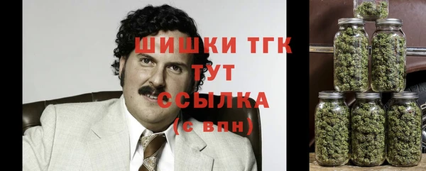 ALPHA PVP Покров