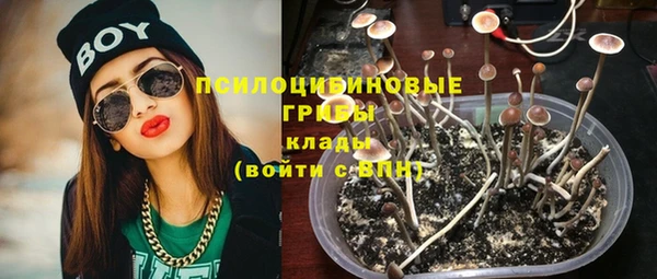 ALPHA PVP Покров