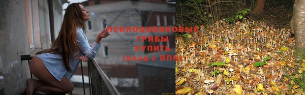 хмурый Покровск